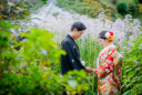 緑の季節の写真について