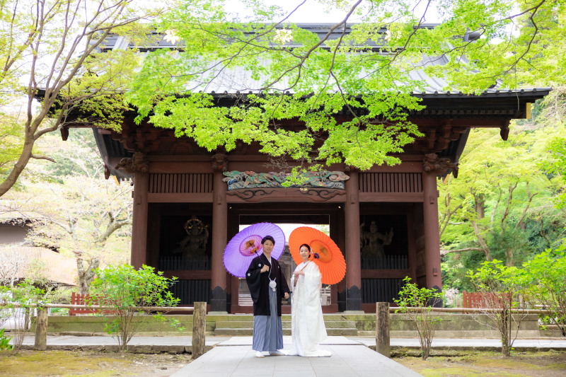 【妙本寺】４月は桜・海堂・新緑のベストシーズン！！