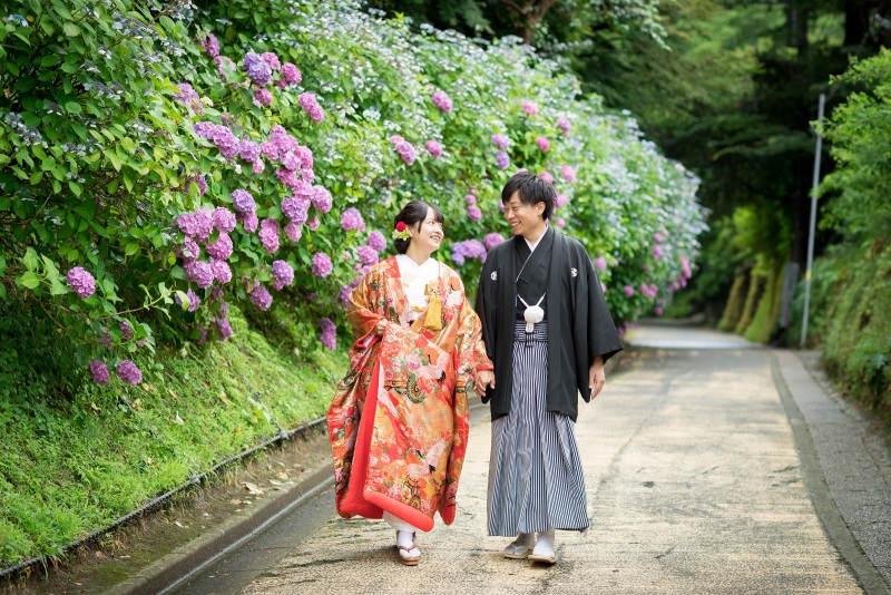 紫陽花Photo°˖✧