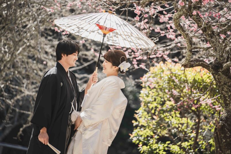 【1月～2月】鎌倉の梅と河津桜について❁