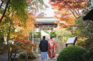 【2025年】海蔵寺の紅葉速報