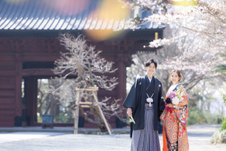 桜、咲き始めました。