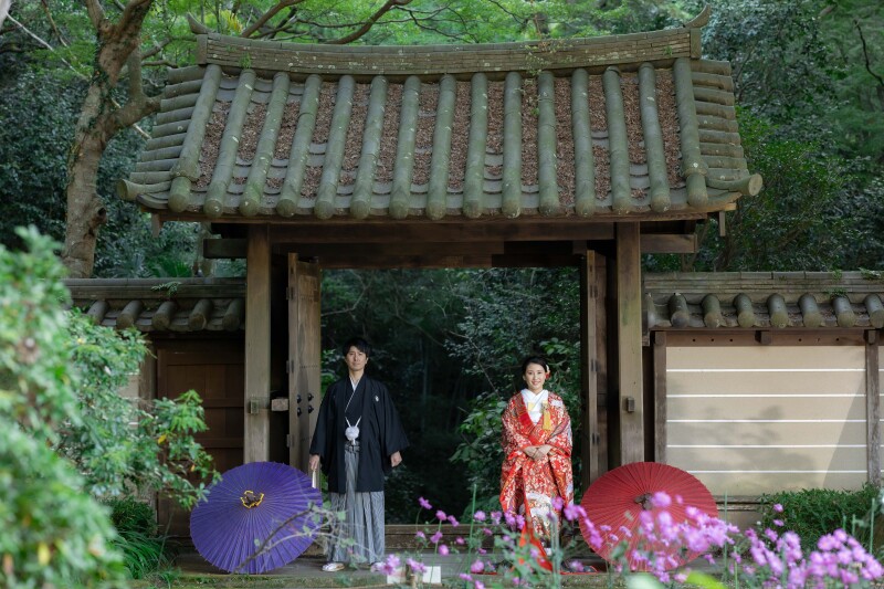 11月の鎌倉　紅葉シーズン到来