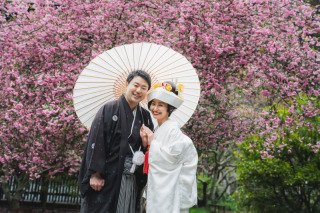 【2026年】桜と海棠の開花まとめ❀