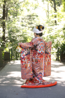 新しい色打掛のご紹介です♡