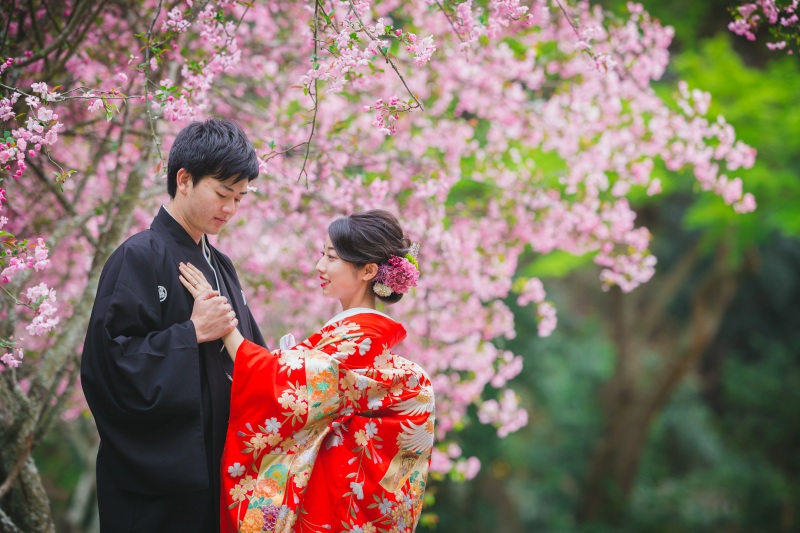 桜シーズン　残席僅かです！