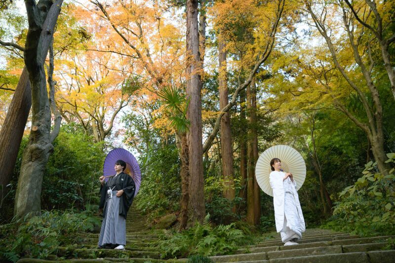 【紅葉】鎌倉の紅葉について