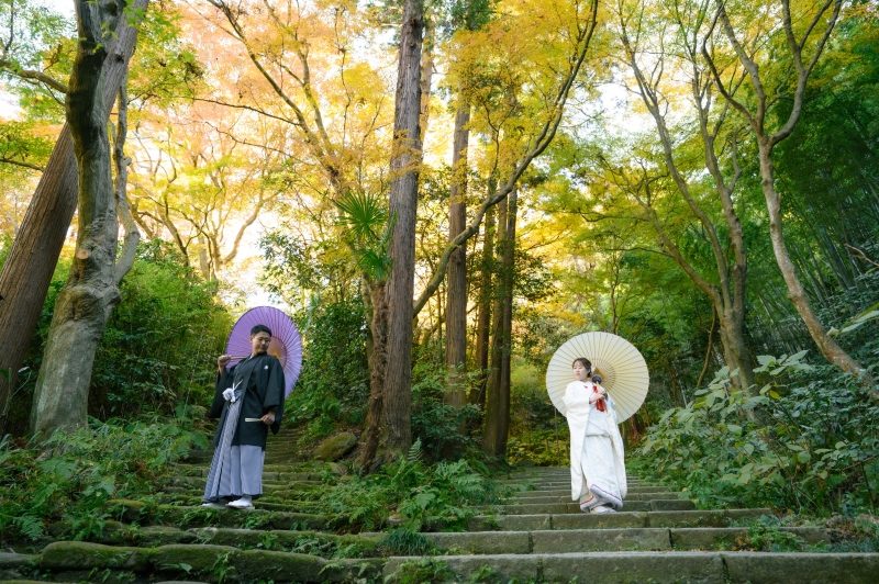 【紅葉】12月下旬も紅葉シーズン！