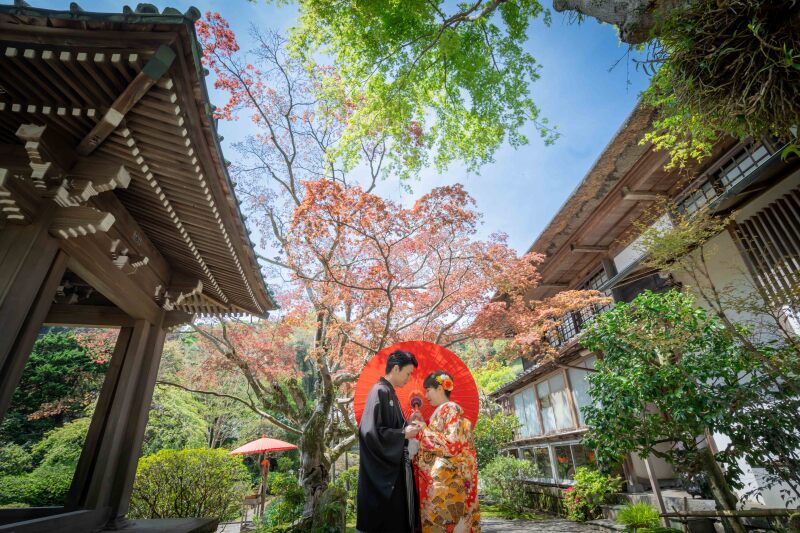 【鎌倉の花寺】4月は海蔵寺がオススメ！★
