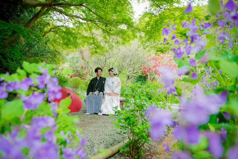 ❁春のお花たち❁