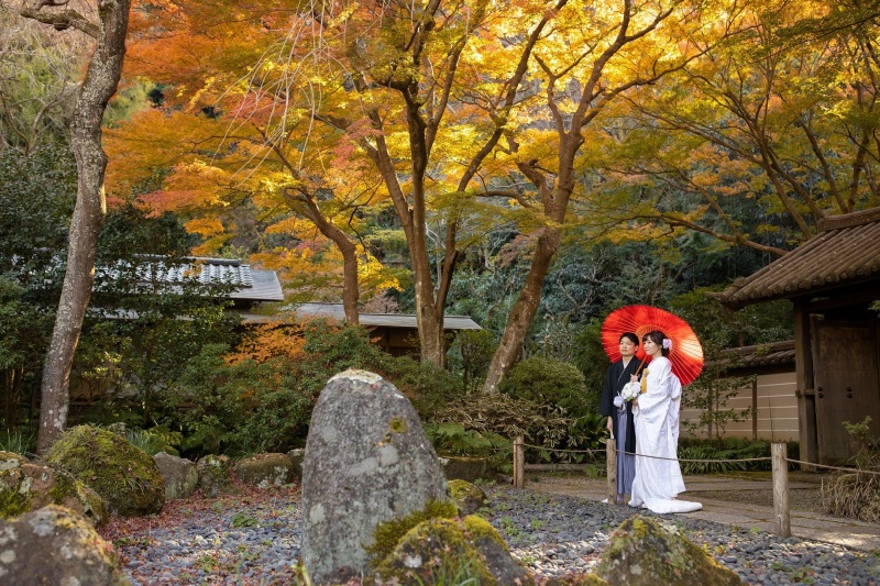 紅葉シーズンのご撮影につきまして