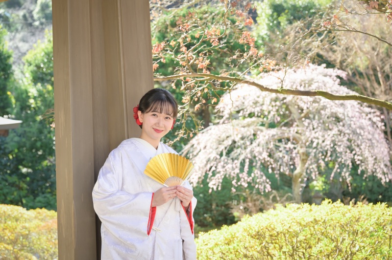 枝垂れ梅の開花状況と、来月のご相談来店フェアのお知らせ