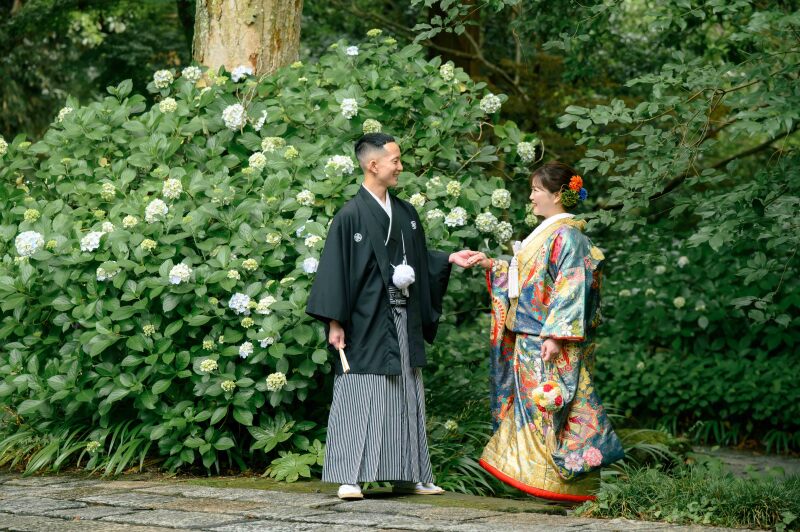 【最新】妙本寺の紫陽花の開花状況!