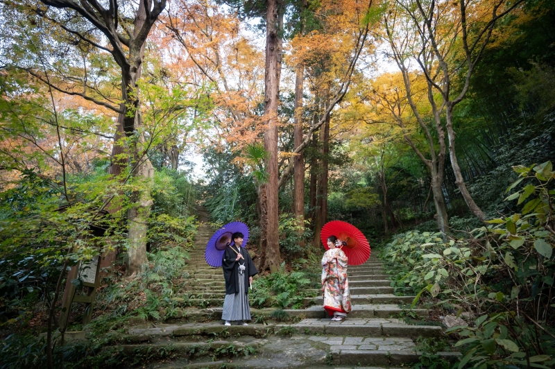 【紅葉】12月下旬も紅葉シーズン！