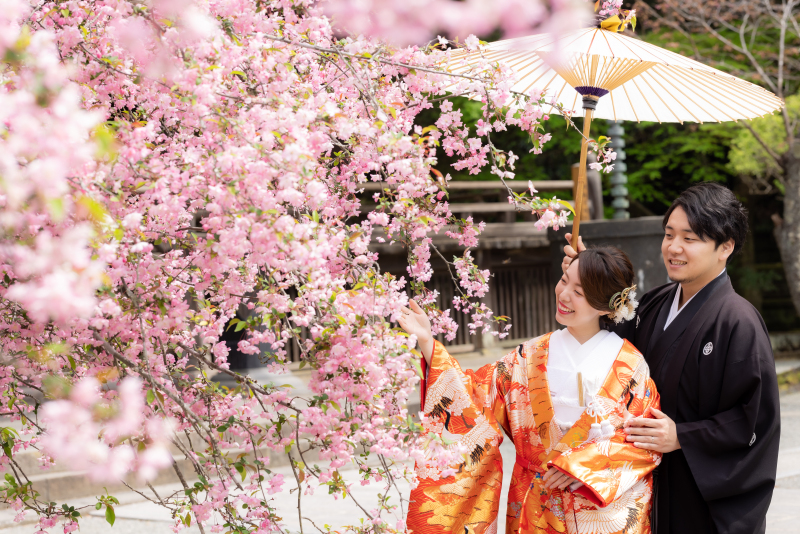 【妙本寺】４月は桜・海堂・新緑のベストシーズン！！