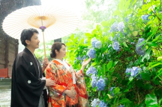 6月のご予約状況につきまして