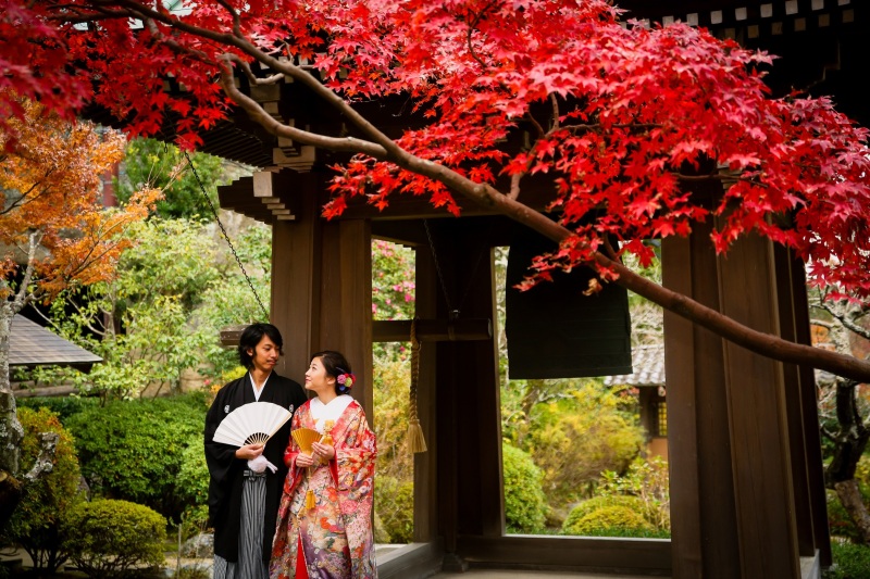 紅葉シーズンのご撮影につきまして