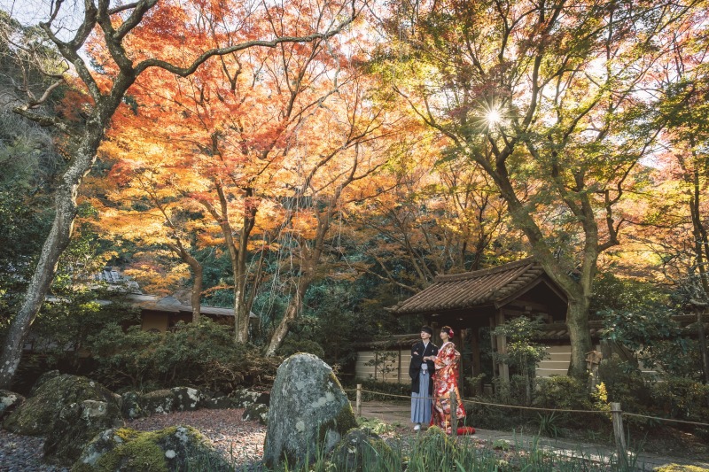 【紅葉】12月下旬も紅葉シーズン！