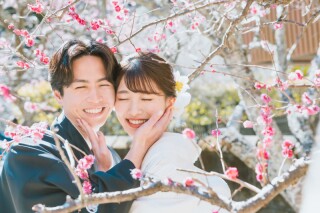 【2025年】梅の開花状況❁