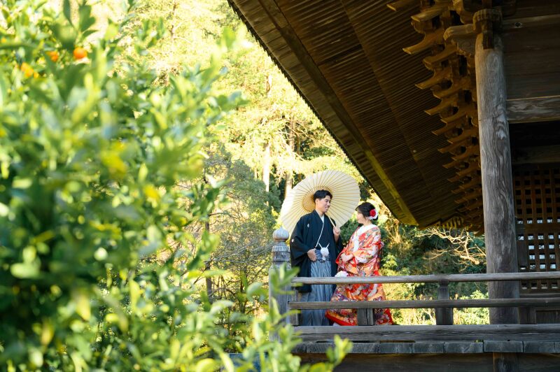 【12月～1月の限定】2大特典付き！早割キャンペーン