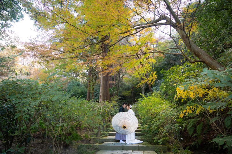 【2024年】鎌倉の紅葉について