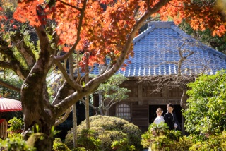 紅葉シーズンに空きが出ました！