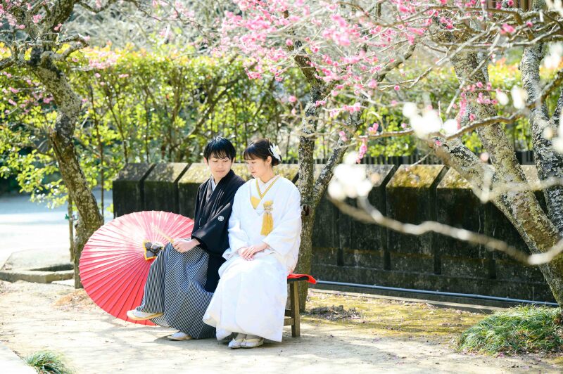 【1月～2月】鎌倉の梅と河津桜について❁