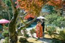 【11月】和装のお客様フォトをご紹介!