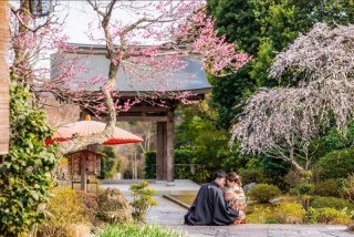 【2月まで】延長決定!ロケーション付きスタジオ弐点プラン