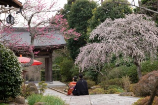 1月度 特典付き♡ご相談来店フェアのお知らせ
