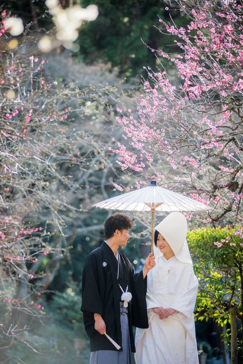 1月・2月の撮影