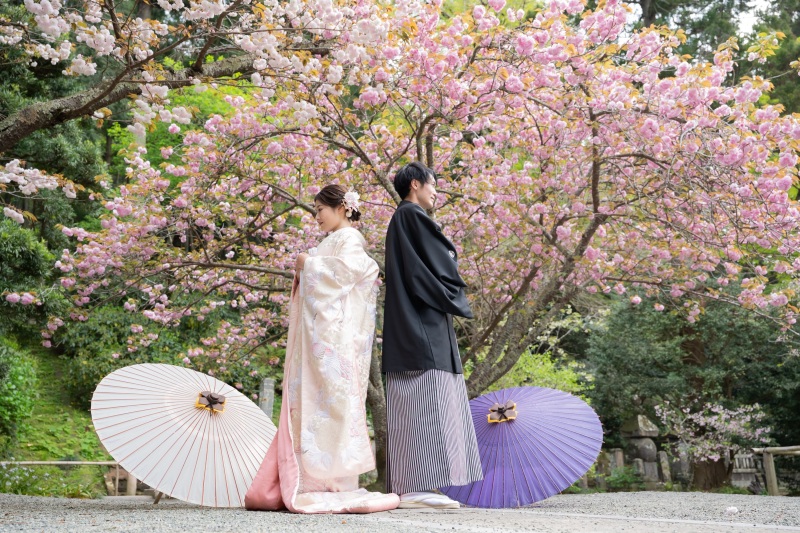 《残り僅か!✨》4月の撮影がまだ間に合う!!