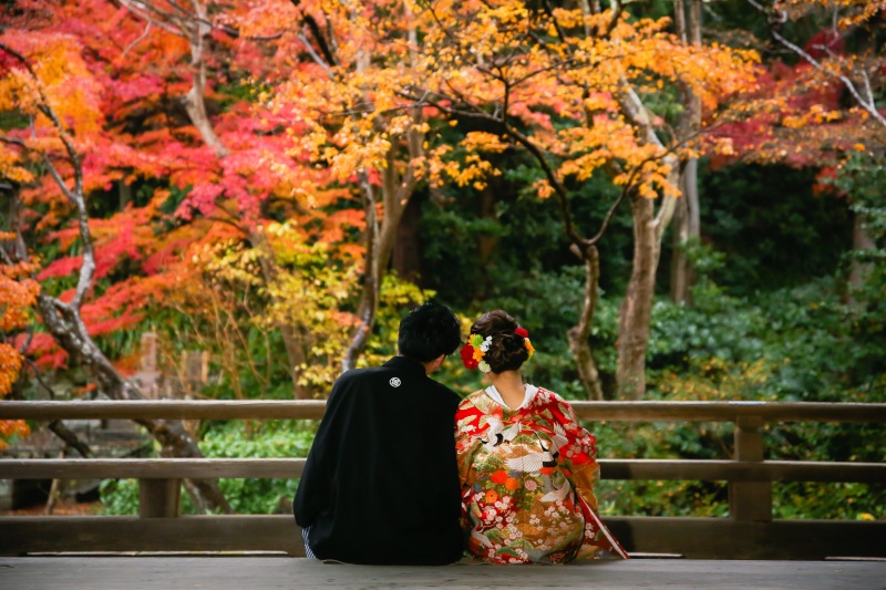 紅葉シーズンのご撮影につきまして