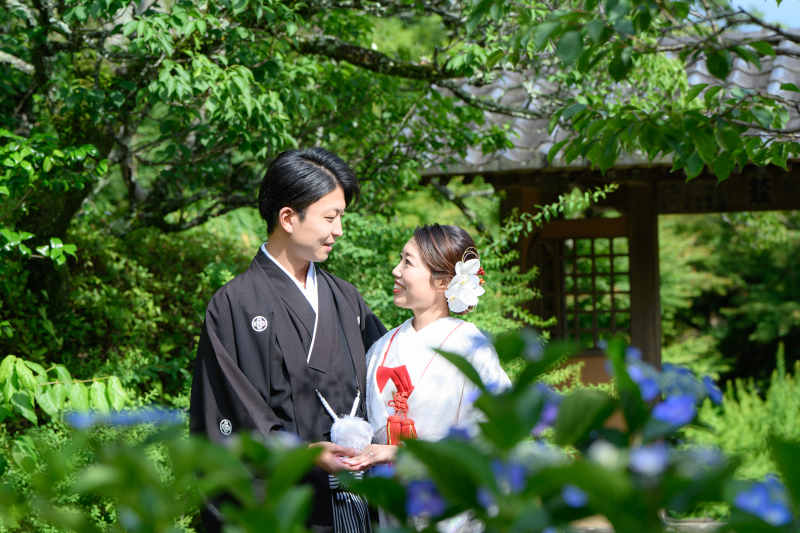 【紫陽花】今年の紫陽花の写真をご紹介！