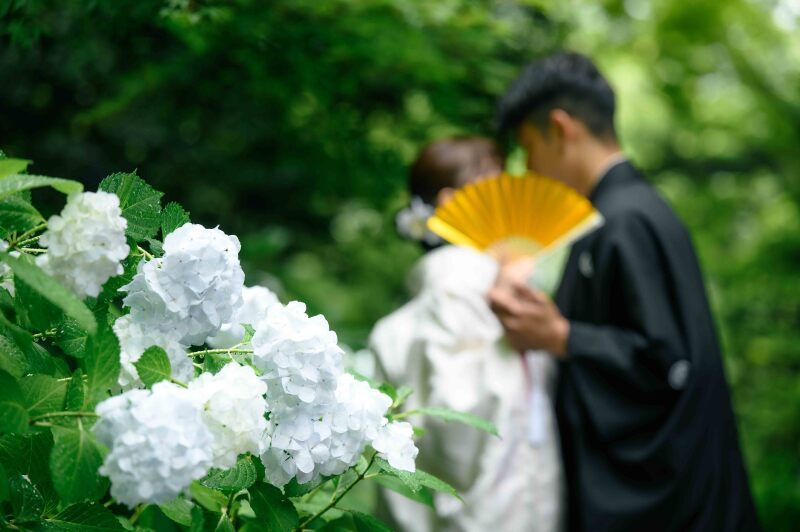 【最新】妙本寺の紫陽花の開花状況!