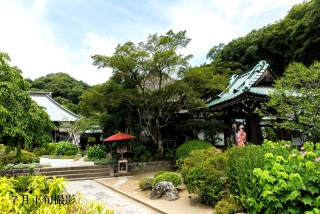 ４月の撮影について