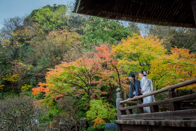 紅葉シーズンのご撮影につきまして
