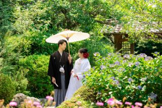 紫陽花の時期の撮影～海蔵寺～