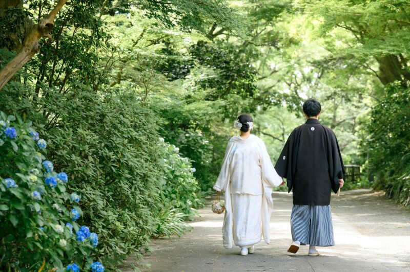 【最新】妙本寺の紫陽花の開花状況!