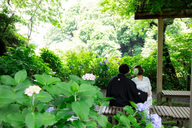 【紫陽花】今年の紫陽花の写真をご紹介！