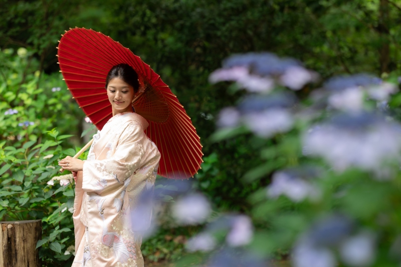 紫陽花といえば【鎌倉♪】