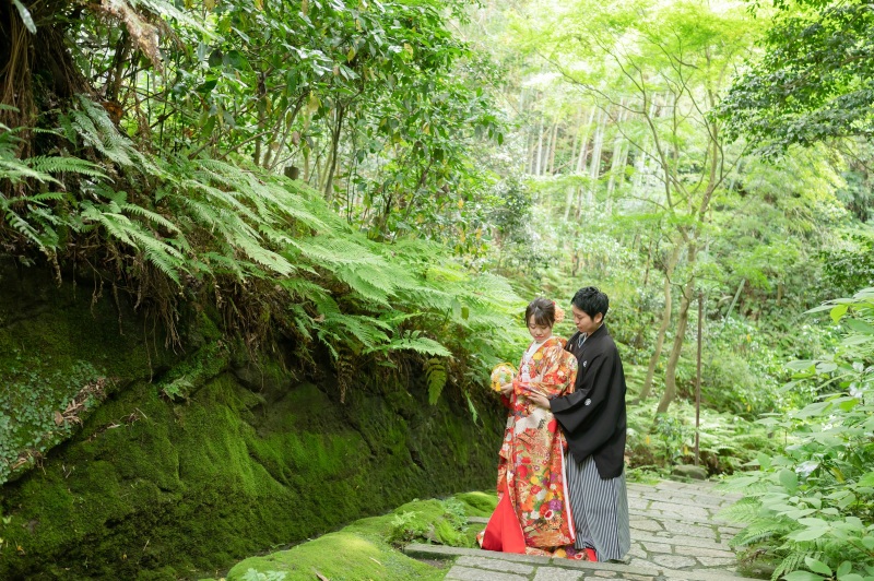 一番乗りの紫陽花を発見！