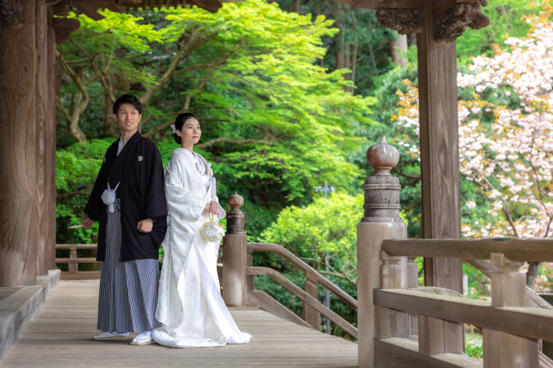 【妙本寺】４月は桜・海堂・新緑のベストシーズン！！