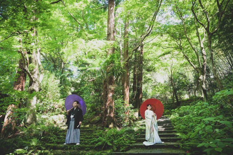 【撮るなら今！】4月-5月の新緑キャンペーン