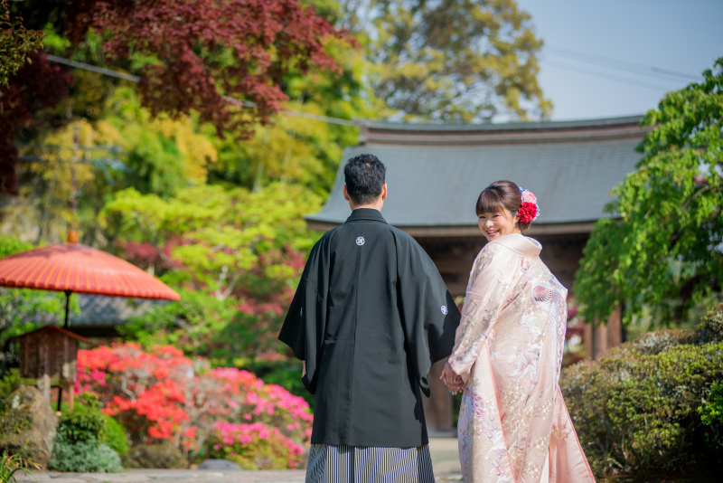 春の撮影に関して