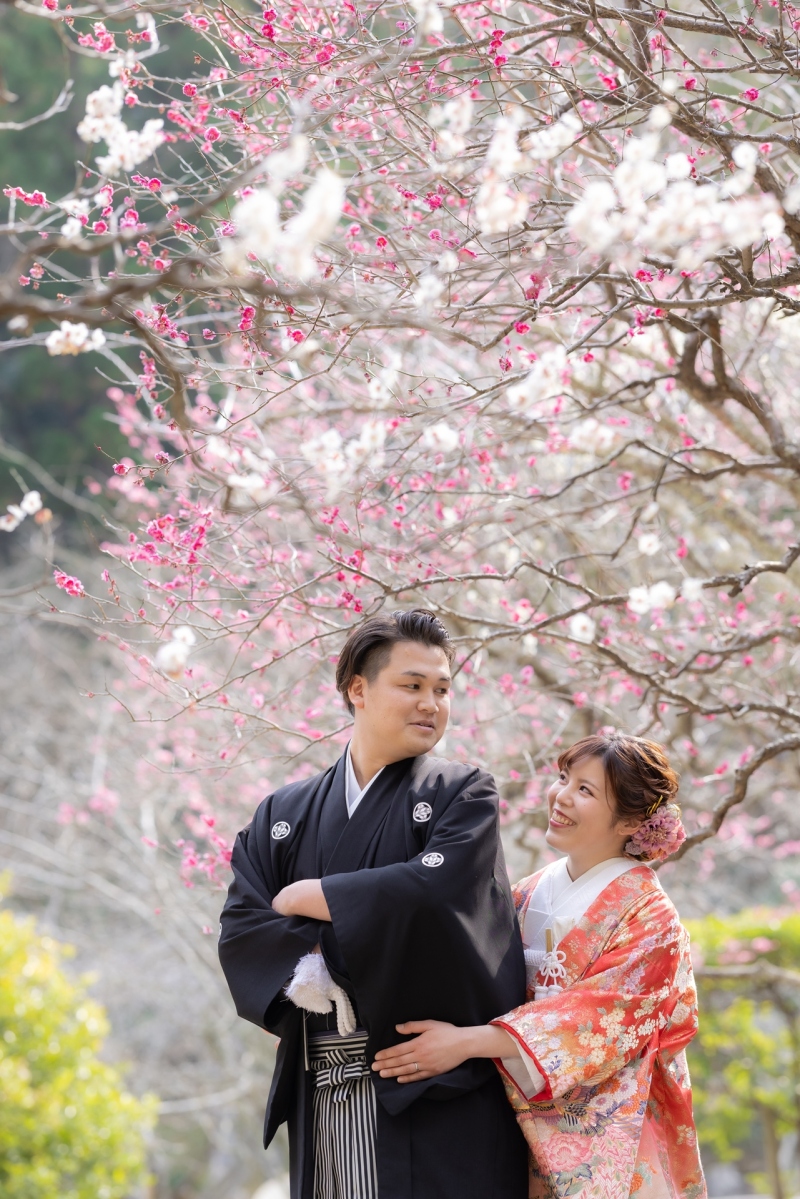 華雅苑のプランの特長♪