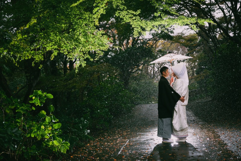雨の日のお写真