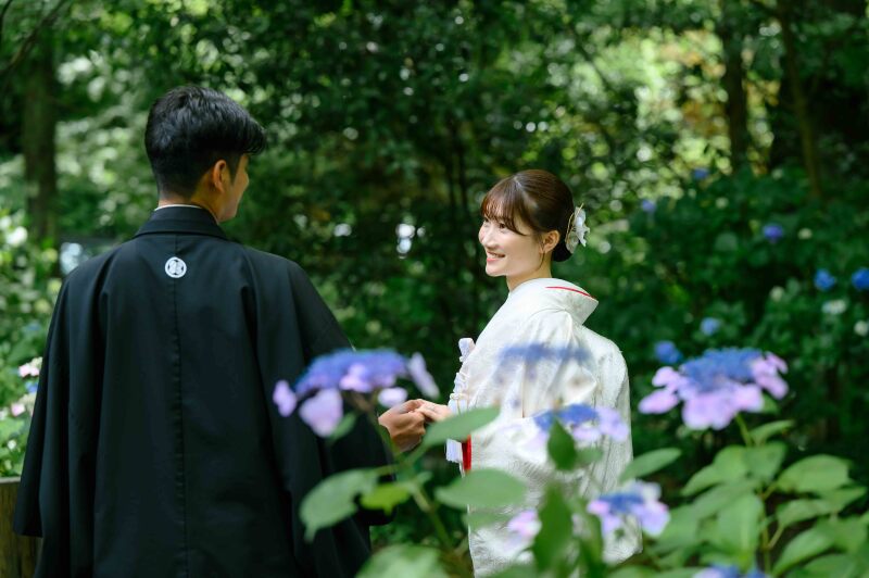 【最新】妙本寺の紫陽花の開花状況!