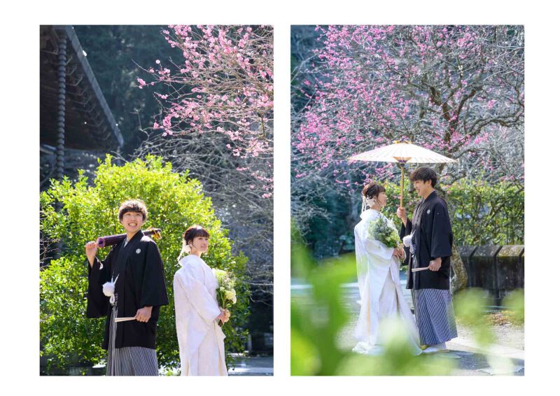 【1月～2月】鎌倉の梅と河津桜について❁