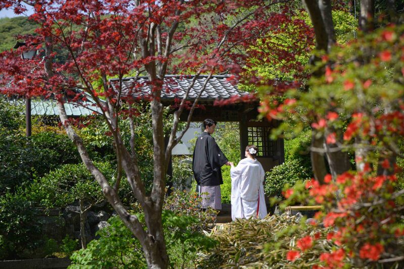 【撮るなら今！】4月-5月の新緑キャンペーン